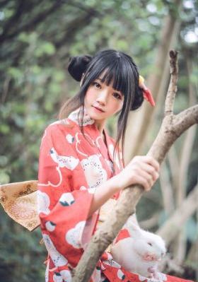 大明风华执导者