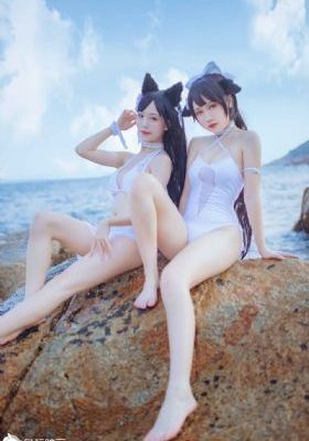 云之羽全24集观看