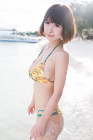 与君歌电视剧全集免费播放